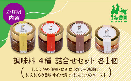 調味料 4種 詰合せセット（しょうがの佃煮・にんにくのラー油漬け・にんにくの旨味オイル漬け・にんにくのペースト）【うさぎ農園】[AYDJ009]