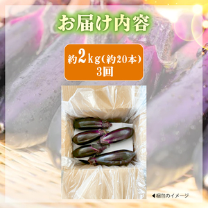 なす 約 2㎏ 約20本 3回定期便 高知県安芸市｜ナス AR006