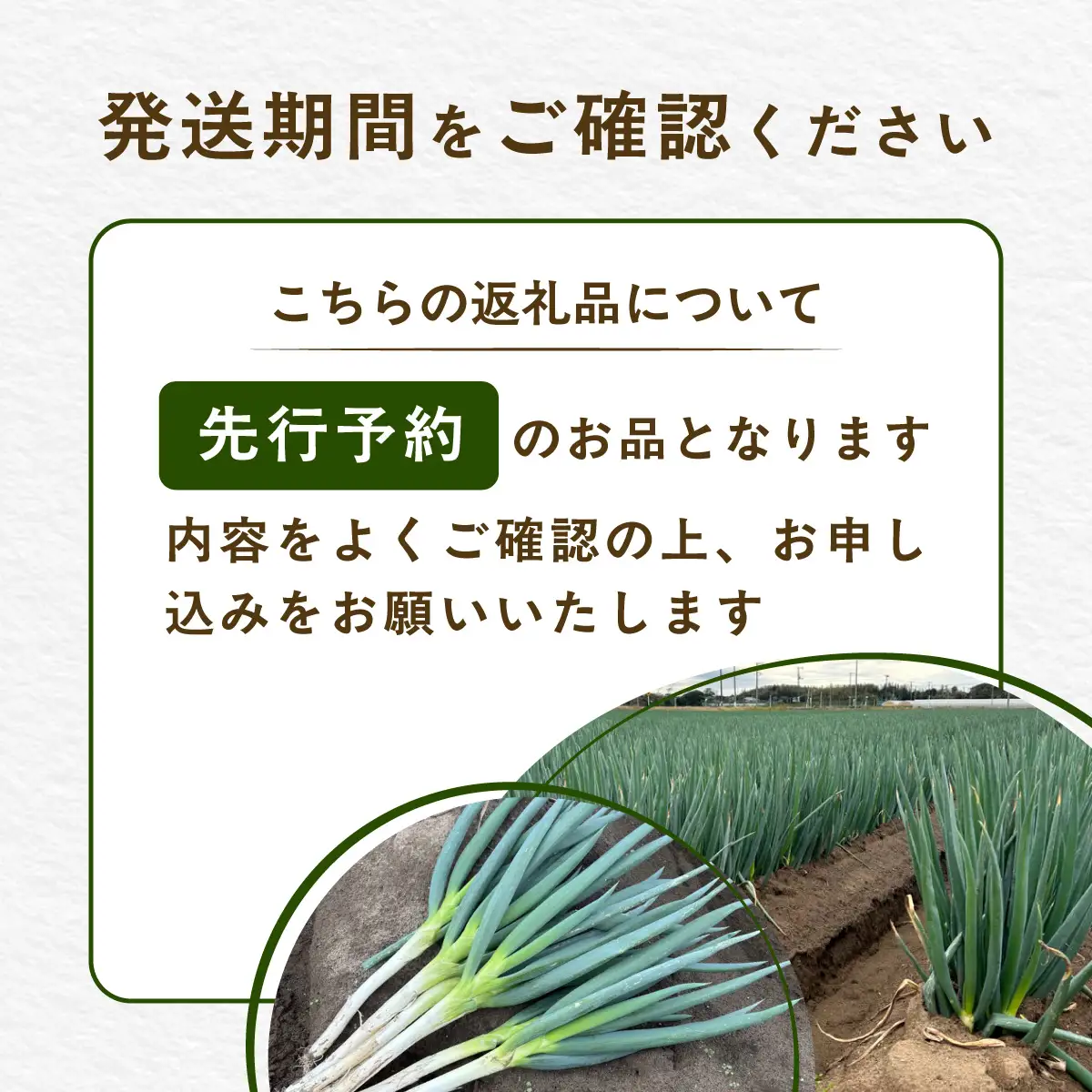 【先行予約】【山武市限定栽培】泥ネギでドドンと配送！ミネラル豊富で甘みたっぷりの「海水ネギ」７kg以上 / 地元の道の駅オライはすぬまで大人気の農家から直送! 【発送期間：2026年12月から2027年2月】SMCV002