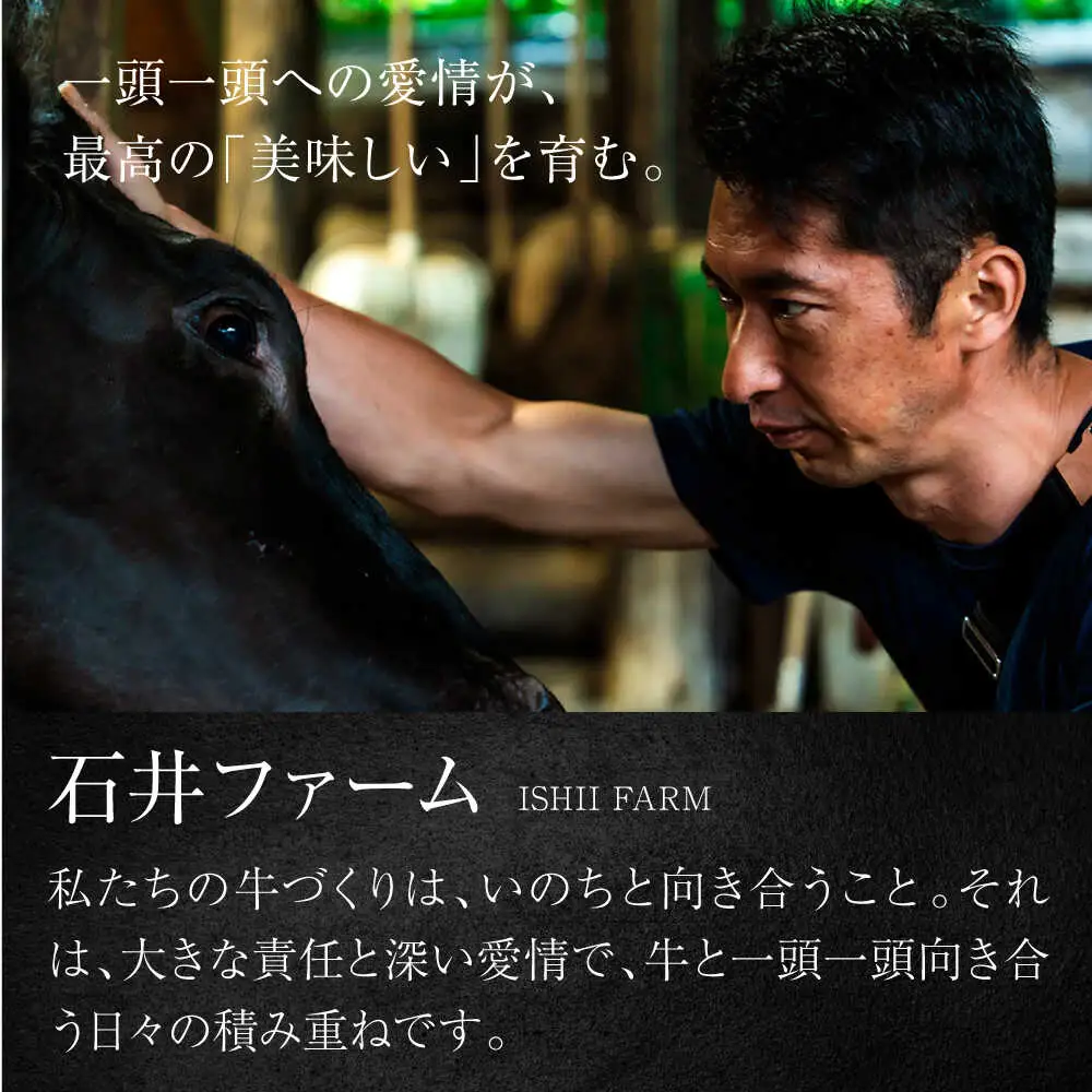 葉山石井牛 リブロースステーキ 計400g(200g×2) | リブロース [ASCD021]