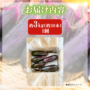 なす 約 3㎏ 約30本 高知県安芸市｜ナス AR001