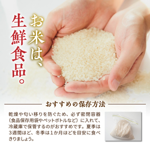 人気沸騰の米 令和7年産 岩手県奥州市産ひとめぼれ 白米 16kg [AC016]