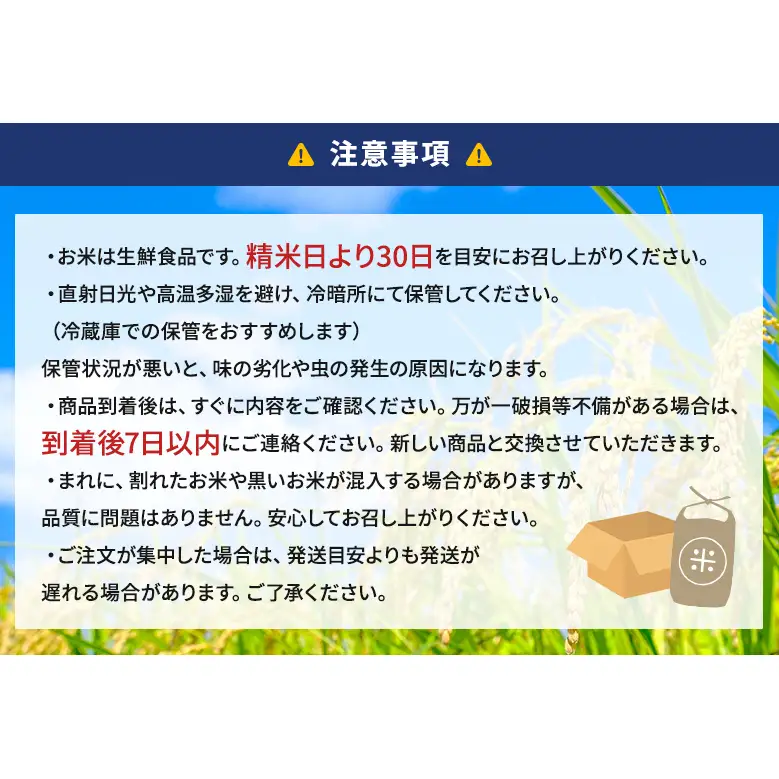 お米 令和8年度産静岡産コシヒカリ玄米 10kg 米 コメ こしひかり コシヒカリ 玄米 袋井市 静岡県