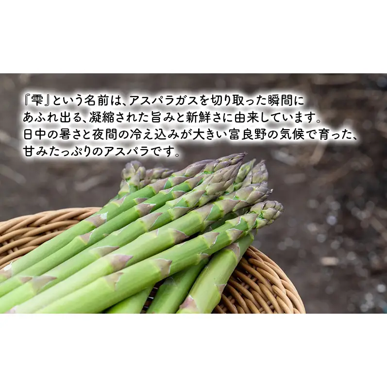 【2027年4月～発送】富良野産 採れたて直送! グリーンアスパラ 「雫」2L～Lサイズ【約1kg】 (清水farm) アスパラ アスパラガス 野菜 新鮮 季節限定 北海道 富良野 ふらの