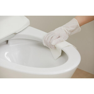 【10枚入り×24個】トルクリーン　トイレクリーナー厚手　 T-TA20　20枚入り（10枚×2個）×12個