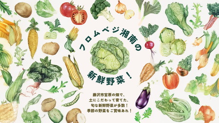 【先行予約】 訳あり さつまいも 紅はるか 10kg 【さつまいも】