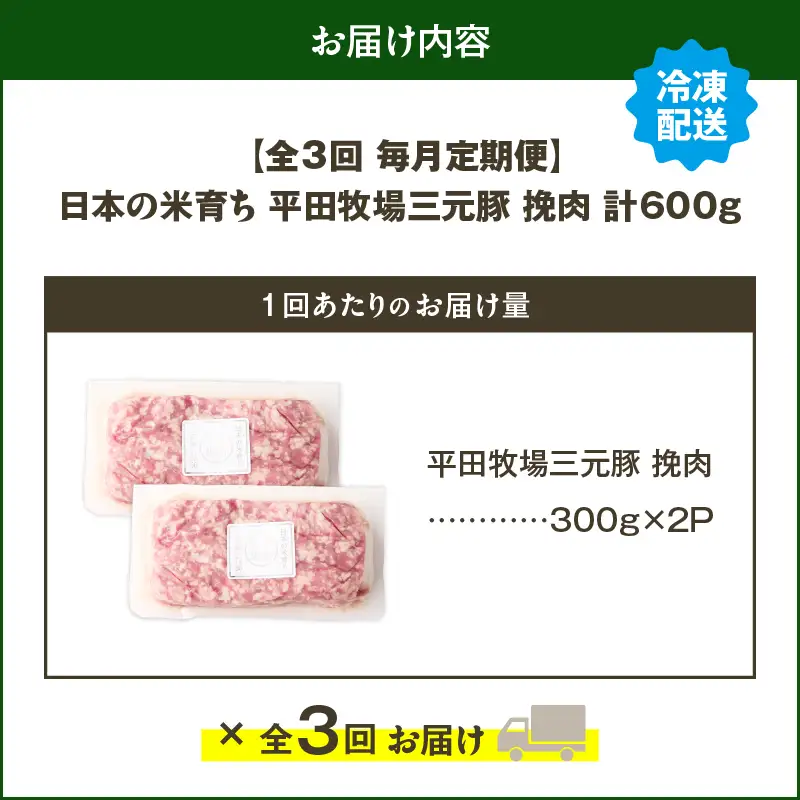 【 全3回 毎月 定期便 】 日本 の 米育ち 平田牧場 三元豚 ひき肉 600g T036-T12-01 肉 豚肉