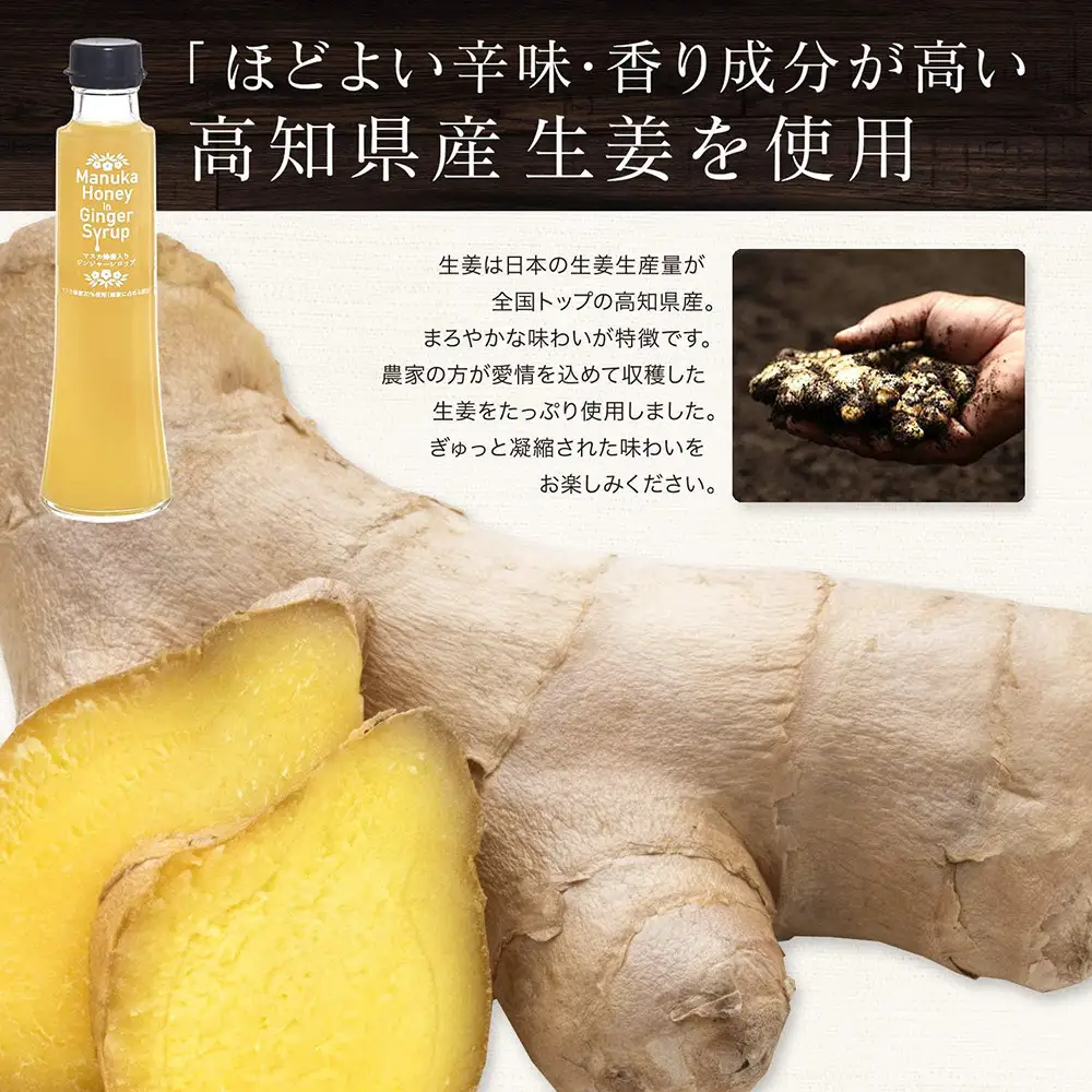 Mother’s　Marketマヌカ蜂蜜入りジンジャーシロップ　200ml×3本