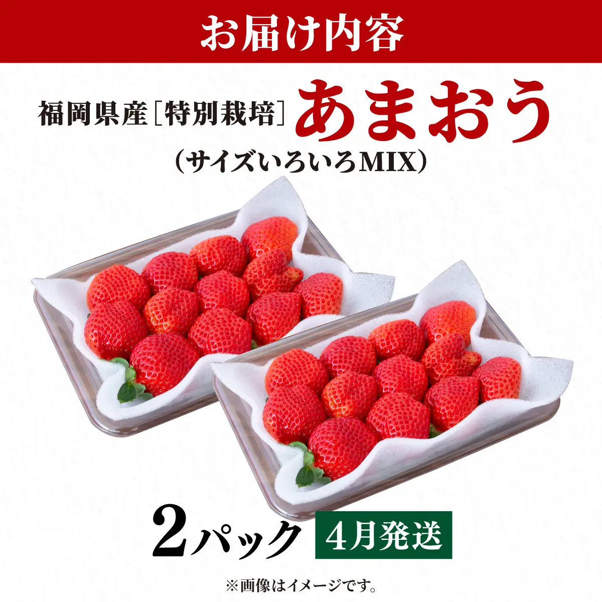 いちご 福岡県産 特別栽培 あまおう サイズいろいろMIX 約570g（約285g×2パック）【4月発送】