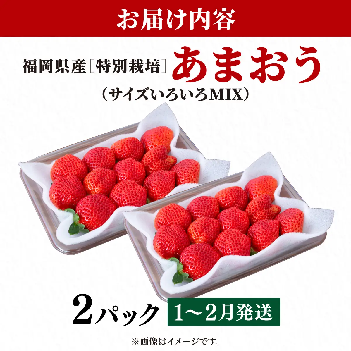 いちご 福岡県産 特別栽培 あまおう サイズいろいろMIX 約570g（約285g×2パック）【1～2月発送】