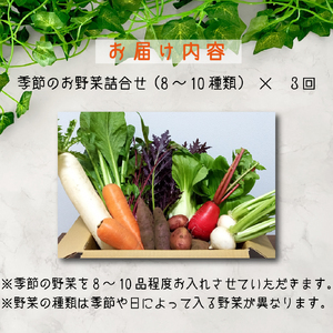 【定期便 全3回】季節の野菜詰め合わせセット（新鮮 採れたて 野菜 セット 定期便 詰め合わせ 宮崎県）