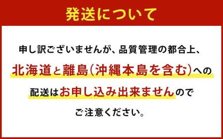 大粒あまおう 約250～270g × 2パック （合計 ： 約500～540g） 【2027年2月上旬～4月下旬発送予定】 あまおう いちご イチゴ 苺 果物 くだもの フルーツ 福岡県産 国産 福岡県 遠賀町 冷蔵