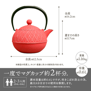 南部鉄器 急須 アーガイル（ローズピンク） 0.6L 【及春鋳造所 作】 伝統工芸品 キッチン用品 食器 日用品 雑貨 [Y0039]