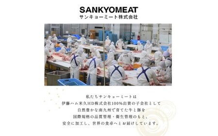 国産黒毛和牛切り落とし 2.4kg （ 国産 牛 牛肉 黒毛和牛 切り落とし 真空 小分け 冷凍 宮崎県 小林市 ）