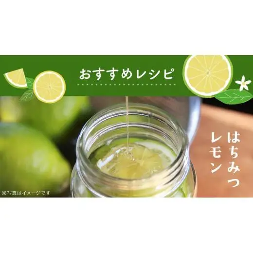 【2026年10月発送開始】 大崎上島産 有機グリーンレモン 3kg （目安25?30個程度）