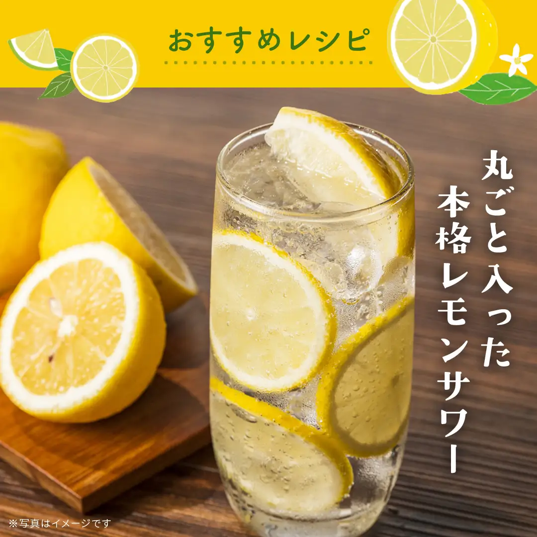 瀬戸内 有機栽培 レモン オーガニック JAS認証 有機 防腐剤ワックス不使用 3kg ( 目安25～30個程度 ) 広島県産 大崎上島町 蔵八農園 【 2027年1月～3月上旬 発送予定 】