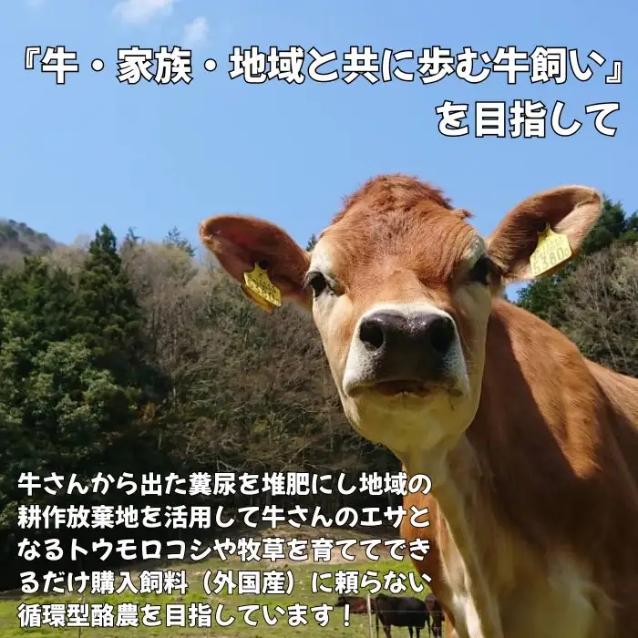 モッツァレラチーズ 500g (100g×5)【榎本牧場チーズ工房】