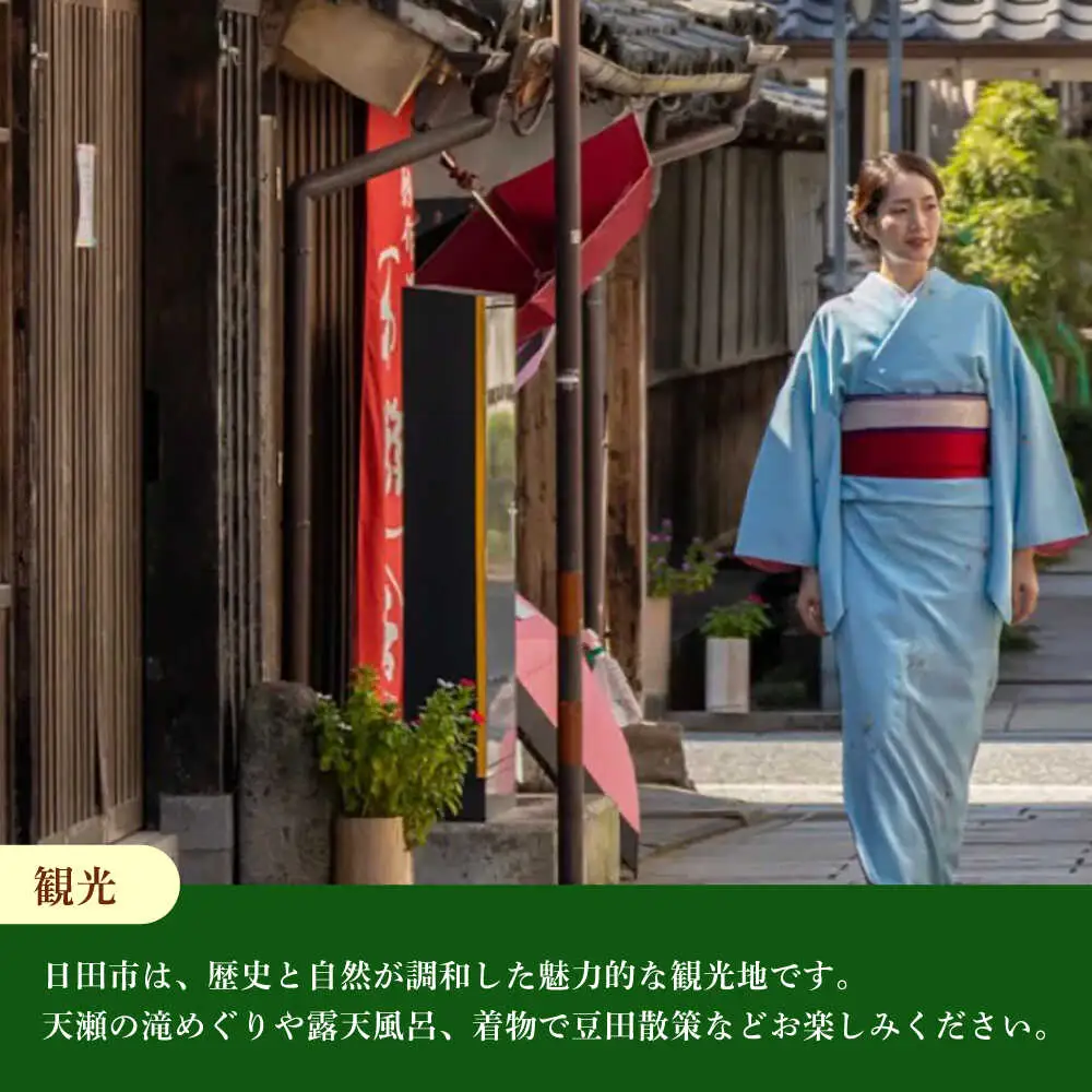 【日田を満喫体験】選べる！思い出に残る体験チケット補助券(3，000円分)　日田市 / 日田グリーンツーリズム花の木 トラベル 旅行 体験チケット[ARFM005]