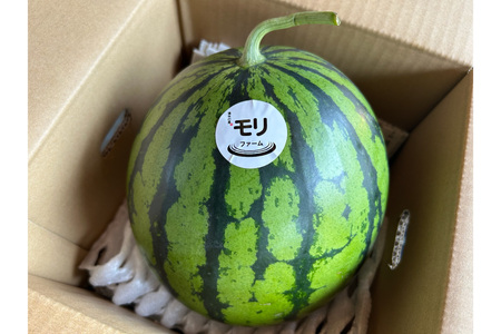 AJ459 【令和9年度出荷分】 湧水の里 モリファーム 中玉スイカ プチット M～L 5～7kg 1玉