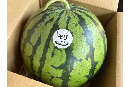 AJ455 【令和9年度出荷分】 湧水の里 モリファーム 赤玉 スイカ ラオウ まつりばやし 3L 8～10kg 1玉
