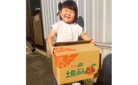 【先行予約】白木家のこだわり土佐文旦 露地 文旦 約5kg 8~13個入り L~3Lサイズ混合〈2027年2月上旬〜3月上旬頃発送〉 ぶんたん ブンタン 果物 柑橘 フルーツ お取り寄せ 特産品 美味しい 高知県産 ギフト【株式会社とさもん】[BQAE040]