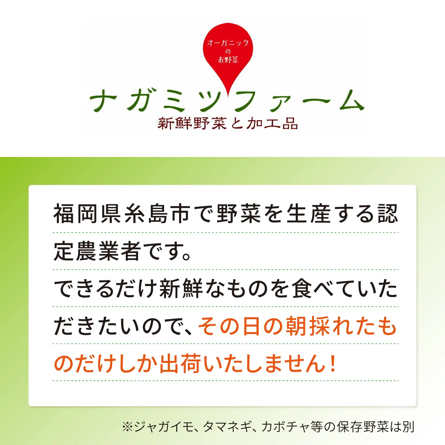 ブロッコリー 1kg 冷凍 旬の時期に急速冷凍 【福岡県糸島産】 糸島市 / オーガニックナガミツファーム 野菜[AGE053]