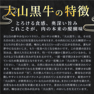 HA-02　肉質日本一の和牛「大山黒牛」切り落し１kg