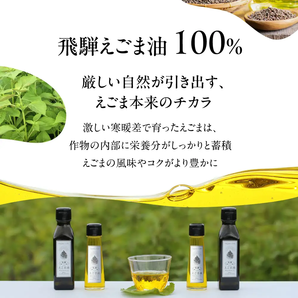 【数量限定】 飛騨生搾りえごま油 100g×3本セット 毎月 搾りたて をお届け 定期便12回  飛騨えごま本舗 CD103
