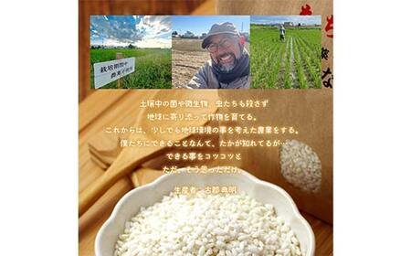 令和7年 足利市産 のりちゃん米 もち米 (きぬはなもち) 2kg＜栽培期間中 農薬・肥料不使用＞ 餅 もち 米 こめ 食品 農家 限定 2025年 年末 正月 新年 贈答 贈り物 ギフト プレゼント 家庭 自宅 栃木県 足利市 F7Z-1720