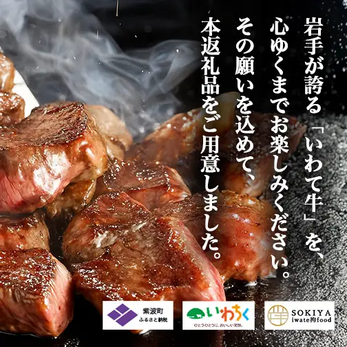 黒毛和牛 いわて牛 乱切り 3kg (250g×12パック) 【2026年7月中旬以降発送】（DV061）