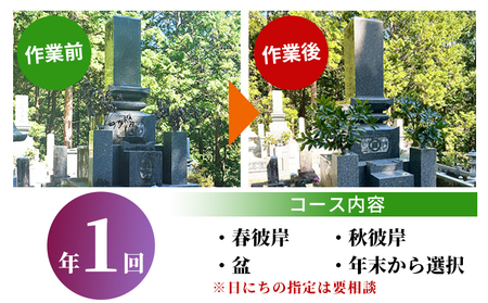 ＜遊子川地域限定 お墓掃除代行サービス（年1回）＞ 2基 墓所 墓石 お掃除 清掃 雑草取り ゴミ拾い 代理 代行 お手入れ お供え 供養 花立 線香台 水鉢 雑草取り お墓参り お手入れ 遊子川ゲストハウス コッコロん 愛媛県 西予市 SUG0004