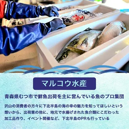 津軽海峡 大間産 極上本マグロ ネギトロ 400g（200g×2P)