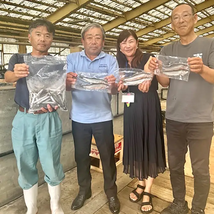日野川育ちの「夏香鮎」小鮎（約10㎝）瞬間冷凍 1kg【鮎 冷凍 1kg 国産 アユ あゆ 魚 魚介 海鮮 養殖 川魚 塩焼き 甘露煮 煮凝り 素揚げ 天ぷら 鳥取県 日吉津村 日野川 日本海】