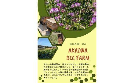 はちみつ 蓮華蜂蜜 天然 非加熱 はちみつ 【300g×1個】