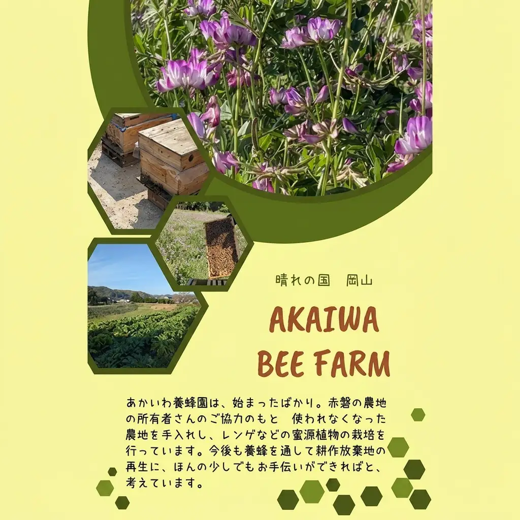 はちみつ 蓮華蜂蜜 天然 非加熱 はちみつ【300g×2個】