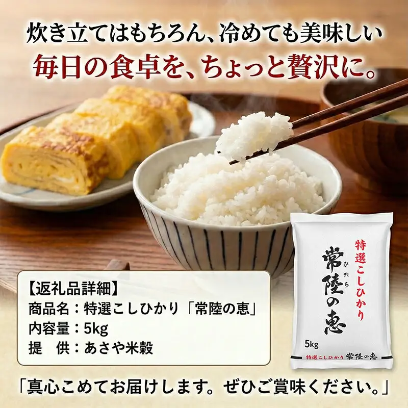 【令和７年産】特選こしひかり　「常陸の恵」５kg 【 お米 五ツ星 お米マイスター HACCP 取得 低温精米 高品質 ご飯 美味しい米 ブランド米 特産物 あさや米穀 茨城県 日立市 】