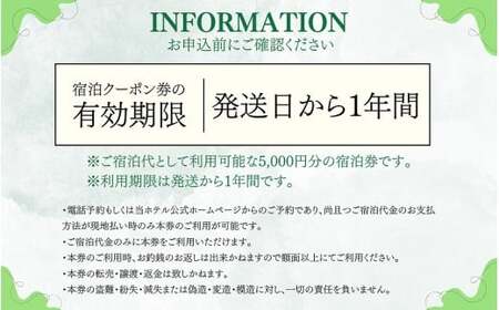 宿泊利用券 勝山ニューホテル 5,000円［A-087001］