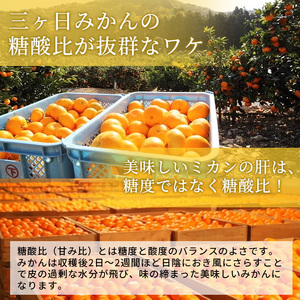 【2025年11月中旬より順次発送】三ヶ日みかん 早生 4kg以上 みかん ミカン 蜜柑 早生みかん 三ヶ日 果物 くだもの フルーツ 旬の果物 旬のフルーツ 柑橘 柑橘類 糖度 静岡 浜松市【配送不可：離島】