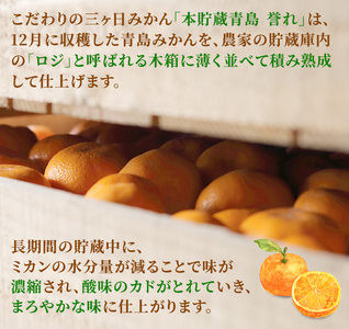 【2027年3月上旬頃より順次発送】三ヶ日みかん 誉れ 青秀 2L 3.5kg みかん ミカン 蜜柑 誉れみかん 三ヶ日 果物 くだもの フルーツ 旬の果物 旬のフルーツ 柑橘 柑橘類 糖度 静岡 浜松市【配送不可：離島】