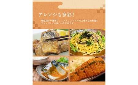 骨なし 無添加 塩さば 切身 60g × 12枚 (4枚入り3セット) 【nss507B】
