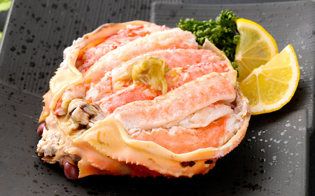 【1月～3月発送】【訳あり】生本ズワイガニ夫婦セット（雄約2kg＋セコガニ約1kg）1079006