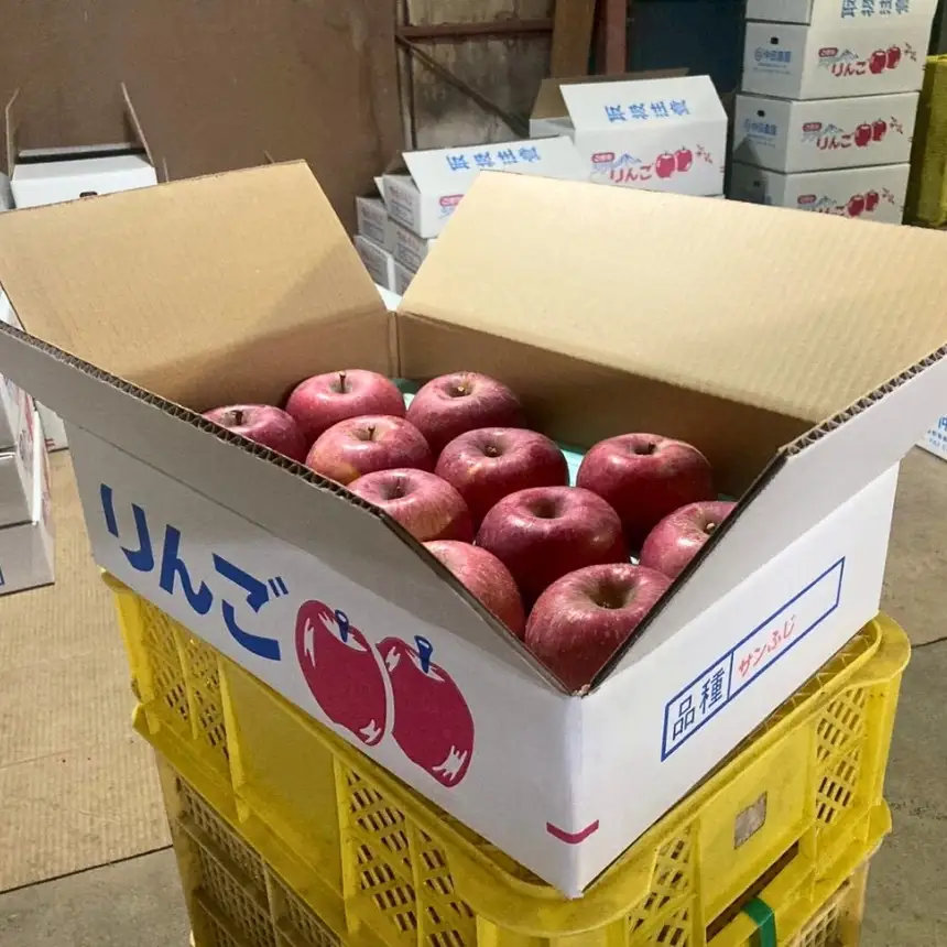 りんご 長野県産 サンふじ 約5kg 12個 ～ 15個 入り ＜2026年11月下旬～発送＞