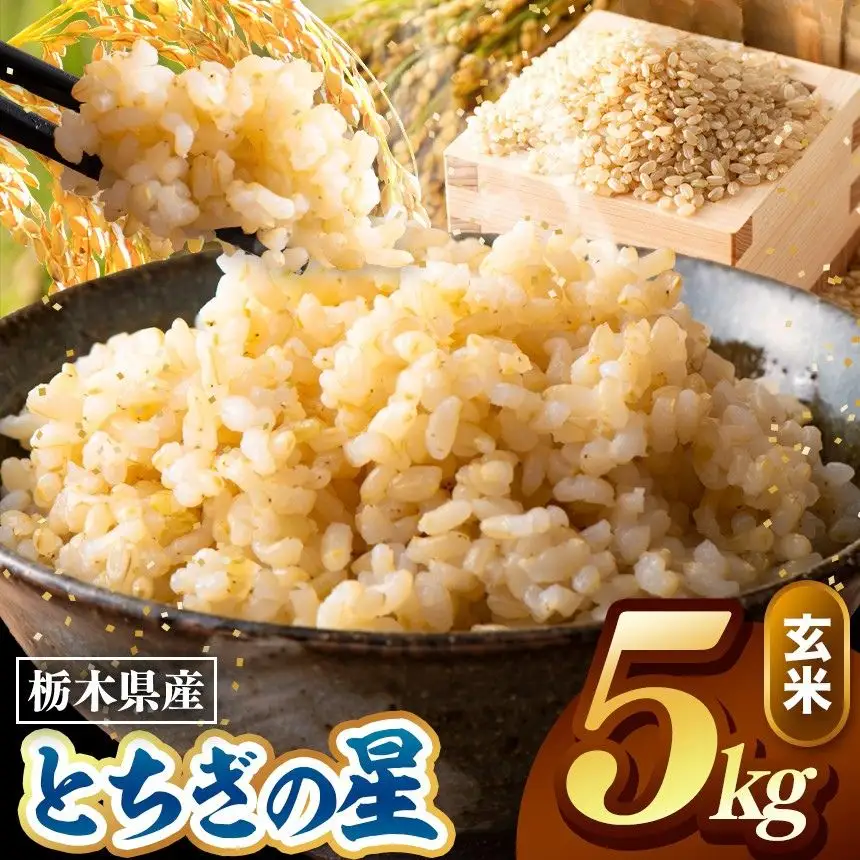 令和8年度産 先行予約 とちぎの星 玄米 約5kg