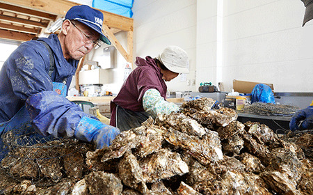 牡蠣のガンガン焼き 殻付き10個セット 浜焼き 海鮮 牡蠣