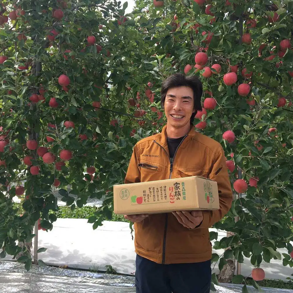 【26年10月発送】りんご 葉とらずサンつがる【訳あり】約3kg 平均糖度12度以上 青森県産 果物 フルーツ 林檎 リンゴ くだもの 不揃い 規格外