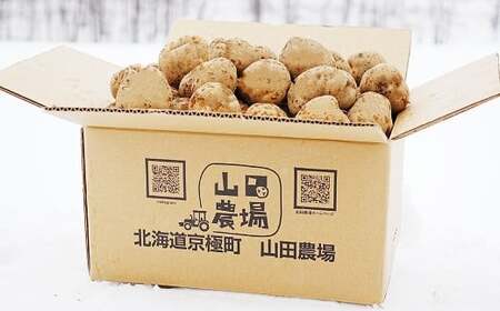 【訳あり】 北海道産 じゃがいも （男爵） 約3kg 山田農場 訳アリ 理由あり わけあり だんしゃく ジャガイモ 芋 いも 野菜 やさい ほくほく 北海道 京極町 常温 【2026年9月下旬-2027年1月上旬迄発送予定】