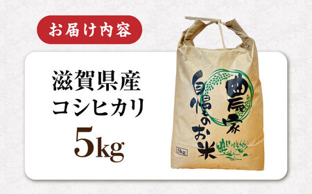 【令和8年産 新米】無洗米 コシヒカリ 5kg [AQDK003] 無洗米