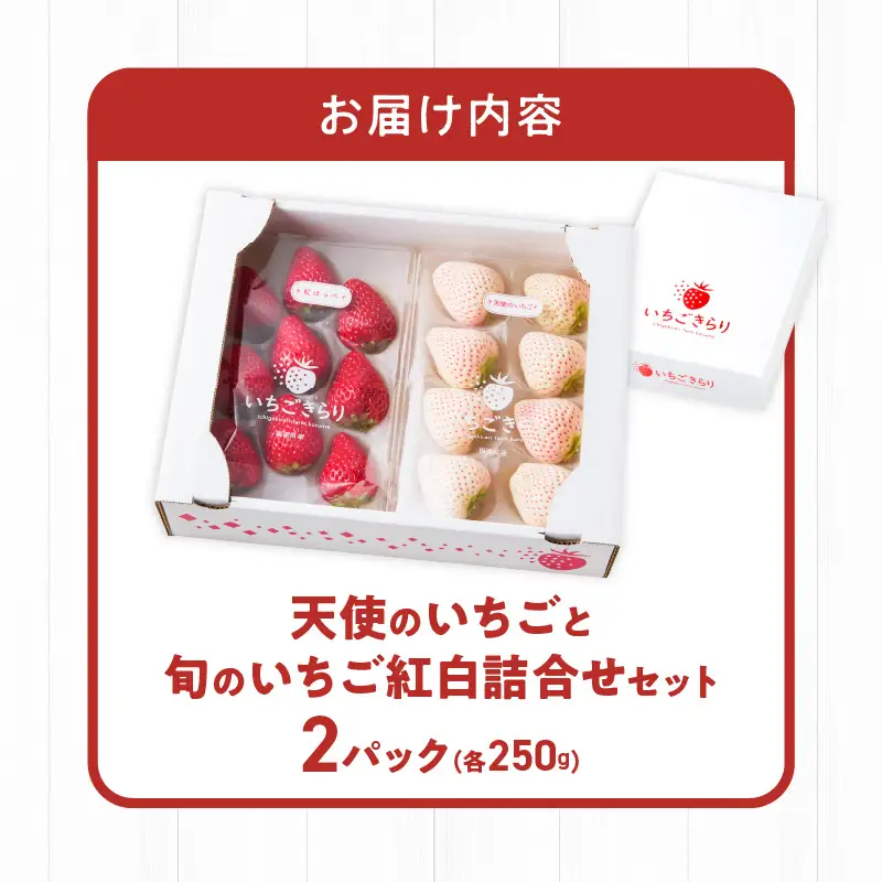特別栽培 白いちご 天使のいちごと旬のいちご詰め合わせ紅白セット （ふくおかエコ農産物） 約500g _ 旬 いちご 詰め合わせ 紅白セット 2パック入り 約 500g ふくおかエコ農産物 旬のいちご 食べ比べ ギフト用 久留米市産 天使のいちご あまおう 恋みのり かおりの 紅ほっぺ よつぼし すず あまえくぼ お取り寄せ 福岡県 久留米市 送料無料  〔Fi113〕
