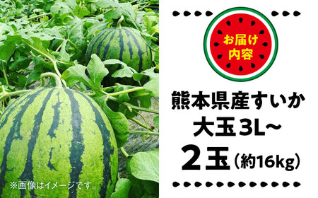【2026年 先行予約】【数量限定】大玉すいか 3L以上 2玉入り 約16kg【日本フルーツ株式会社】[AYDA009]
