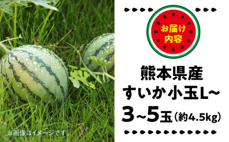 【2026年 先行予約】【数量限定】小玉すいか L以上 3?5玉入り 約4.5kg【日本フルーツ株式会社】[AYDA010]